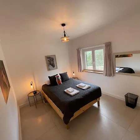Casa vacanze Private With Pool&jacuzzi, Bbq&pizzaoven Santo Isidoro