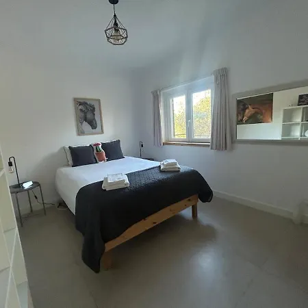 Private With Pool&jacuzzi, Bbq&pizzaoven Casa vacanze