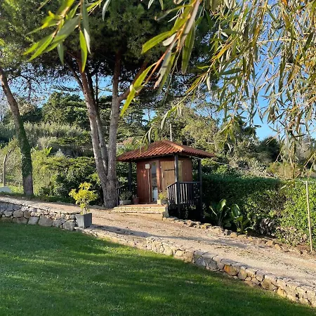 Private With Pool&jacuzzi, Bbq&pizzaoven Santo Isidoro