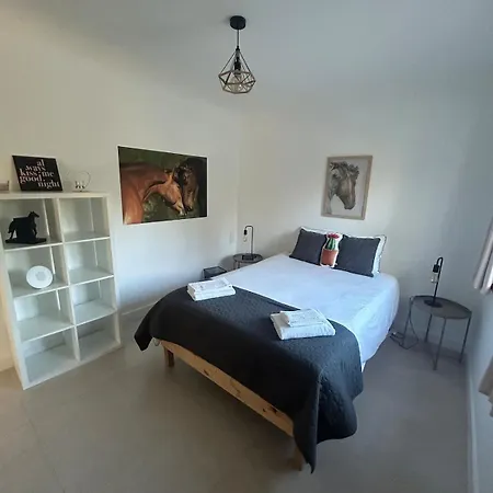 Private With Pool&jacuzzi, Bbq&pizzaoven Santo Isidoro